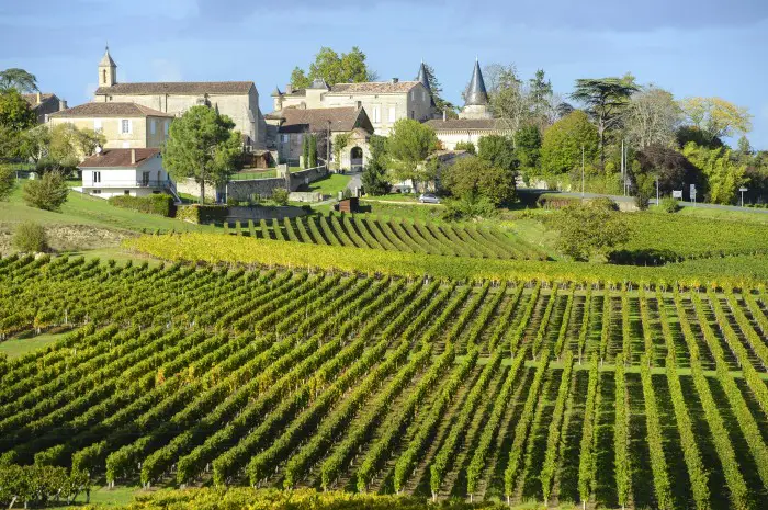 Vignoble bordelais 